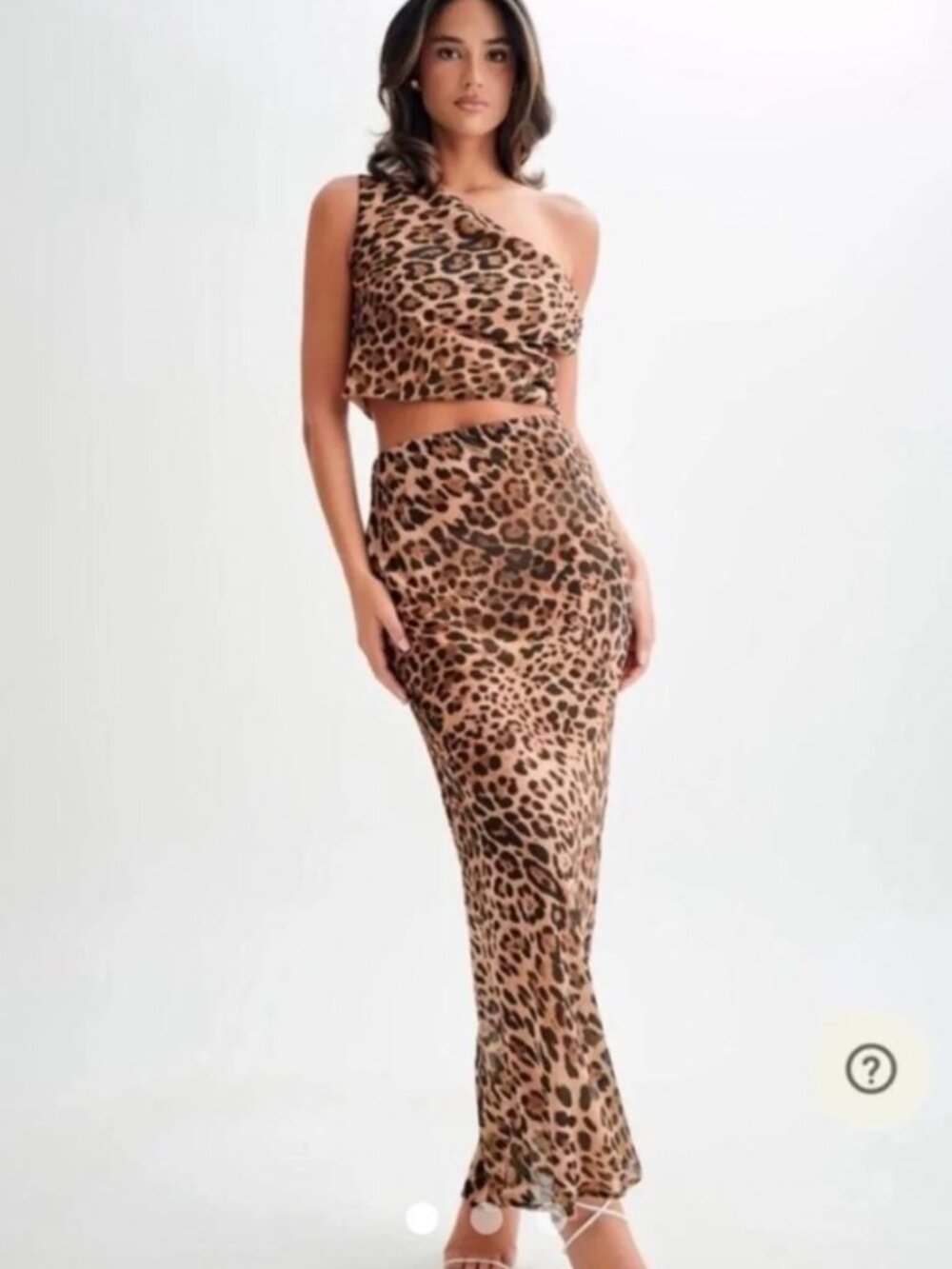 Meshki Leopard Print Two Piece Set